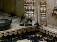 Karni Mata Temple Karni Mata Temple
