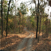 Ken Ghariyal Wildlife Sanctuary