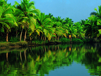 Kerala Country of God Kerala Country of God
