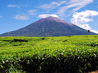 Mount Kerinci Mount Kerinci