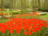 Keukenhof Gardens Keukenhof Gardens