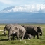 Kilimanjaro National Park
