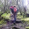 Kilimanjaro Umbwe Route
