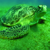 Kiunga Marine National Reserve
