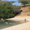 Kiwayu