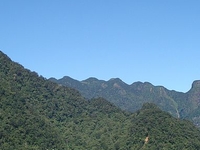 Knuckles Mountain Range