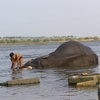 Kodumudi
