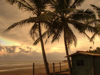 Kosgoda Beach