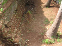 Kottappuram Fort