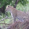 Kruger National Park