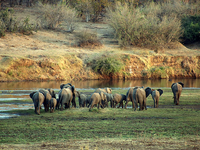 Kruger & Sabi Sands Essential Safari Kruger & Sabi Sands Essential Safari