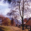 Kukernag Kukernag
