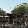 Dadar Dadar