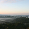 Kakamega Forest Kakamega Forest