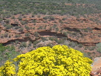 Kalbarri National Park Kalbarri National Park