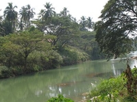 Karamana River Karamana River