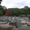 Karrakatta Cemetery Karrakatta Cemetery