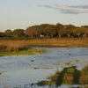Katavi National Park
