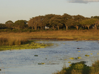 Katavi National Park Katavi National Park