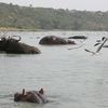 Kazinga Channel Kazinga Channel