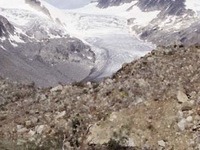 Mackenzie Mountains