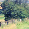 Kennet Avenue