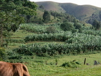 Kisizi Kisizi
