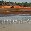 Thrissur Kole Wetlands Thrissur Kole Wetlands