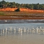 Thrissur