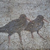 Koshi Tappu Wildlife Reserve