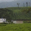 Kottancheri Hills Kottancheri Hills
