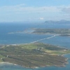 Krakvag I Orland