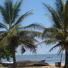 Kribi