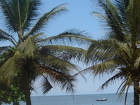 Kribi Kribi