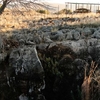 Kromdraai Fossil Site