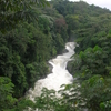 Cross River National Park Cross River National Park