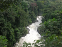 Cross River National Park Cross River National Park