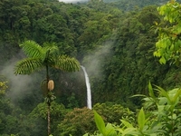 La Fortuna Waterfall