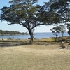 Mashonaland West Mashonaland West