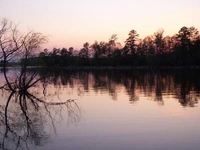 Lake Murray
