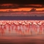 Lake Nakuru Lake Nakuru