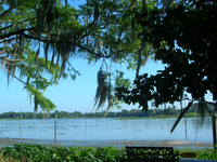 Lake Rousseau