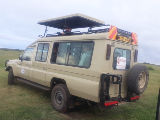 3 DAYS MASAI MARA MIGRATION SPECIAL OFFER Photos
