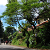 Lembang Lembang