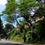 Lembang Lembang