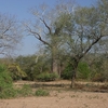 Lengwe National Park