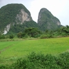 Perlis Perlis