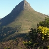 Lions Head