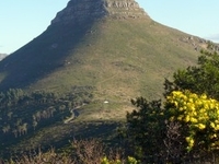 Lions Head Lions Head
