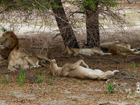 Tanzania Southern Circuit Safari 4 Days 3 Nights Tanzania Southern Circuit Safari 4 Days 3 Nights